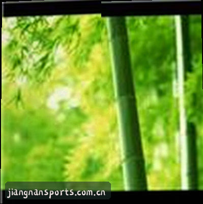孙悦